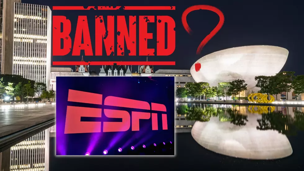 Is ESPN Now Banned in Albany, NY Bars After Harsh Rebecca Lobo Comments?