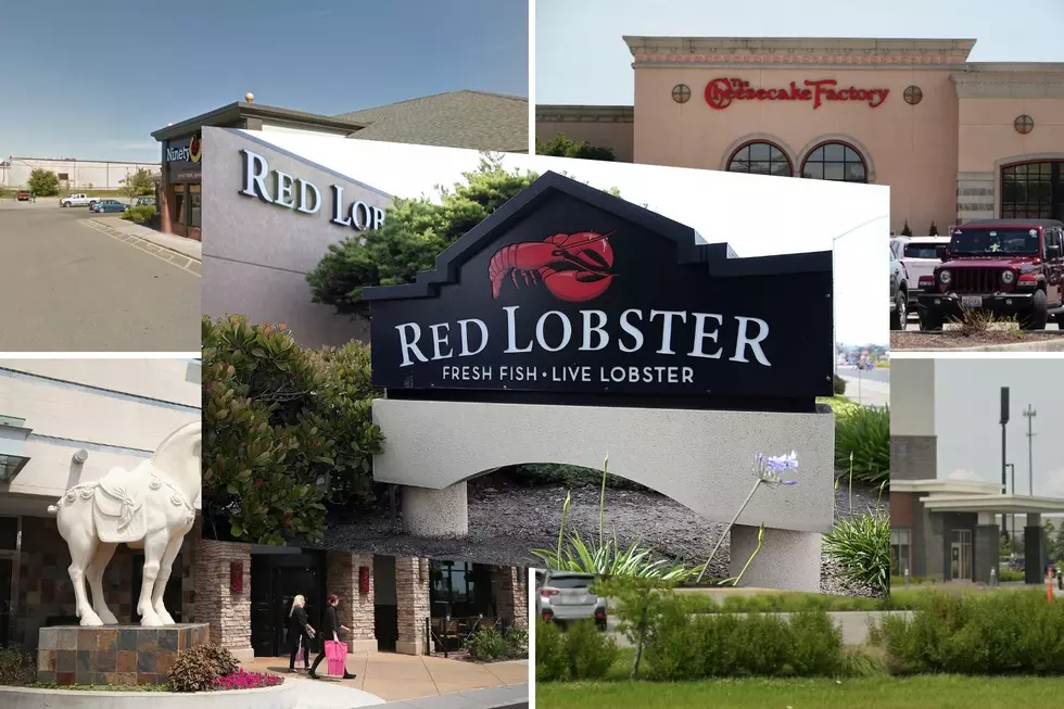 Restaurants That Should Replace Red Lobster in New York