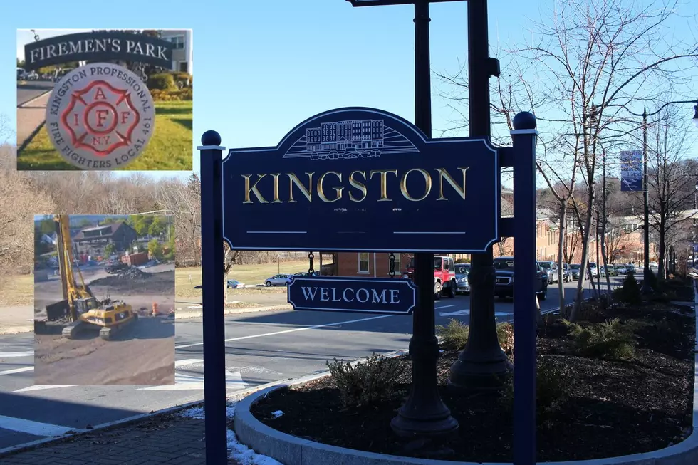 Numerous Acts of Theft & Vandalism in Kingston, New York