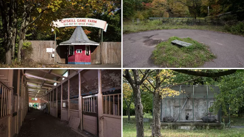 Thousands of Animals Once Lived Here, Now You Can Walk Through The Abandoned Attraction