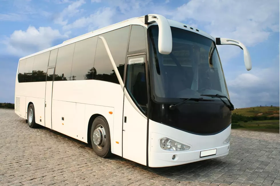 Popular Bus Company Files for Bankruptcy