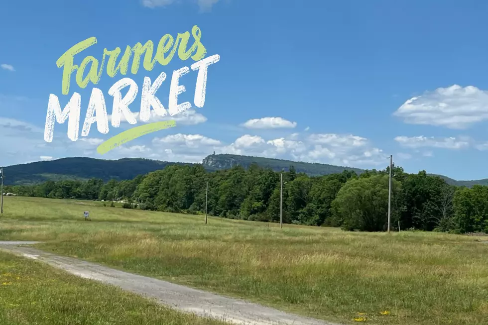 New Open Market In Ulster County in Search of Vendors