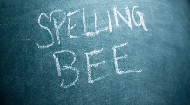 4 Hudson Valley Scholars Competed in 2024 National Spelling Bee