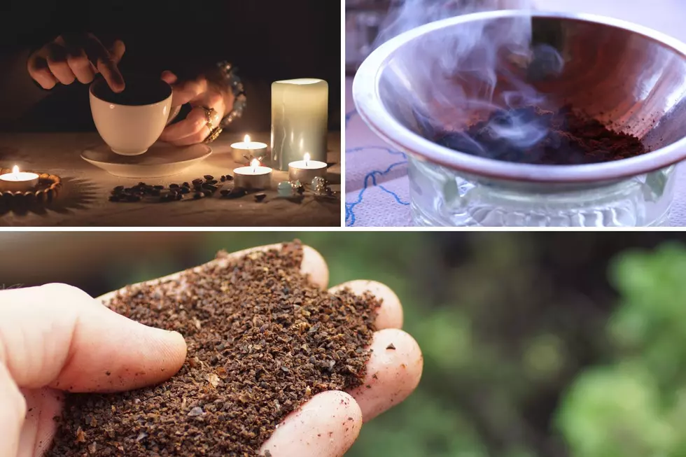 Three Practical Uses for Old Coffee Grounds in New York