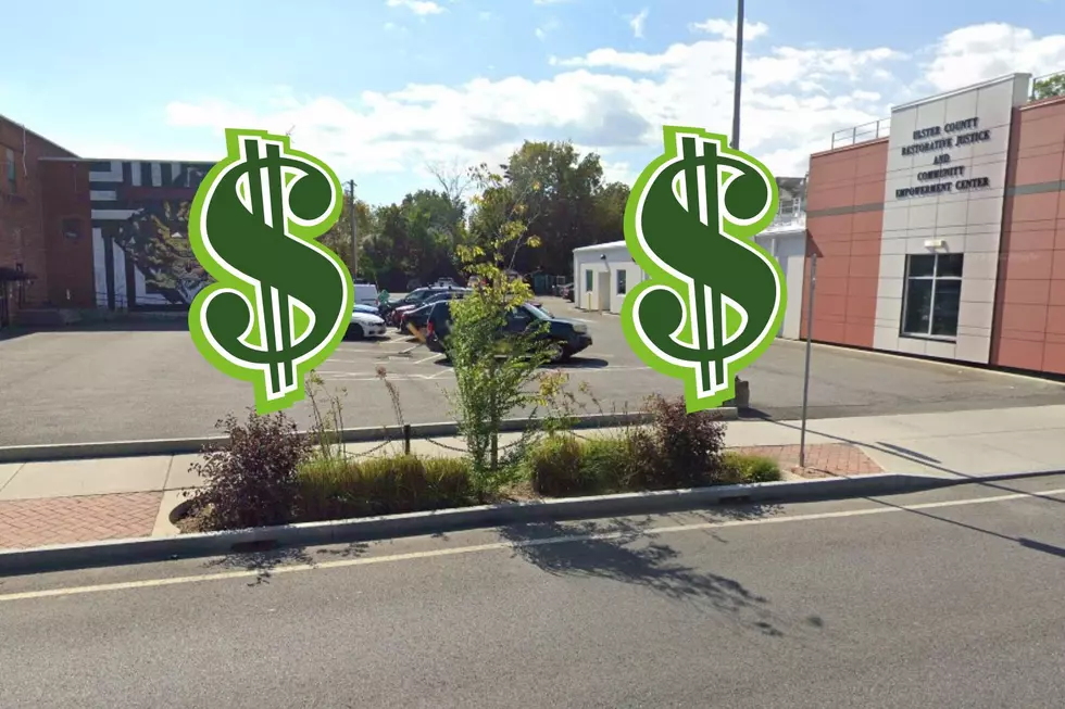 Kingston Ready to Spend $500K on 275 New Trees