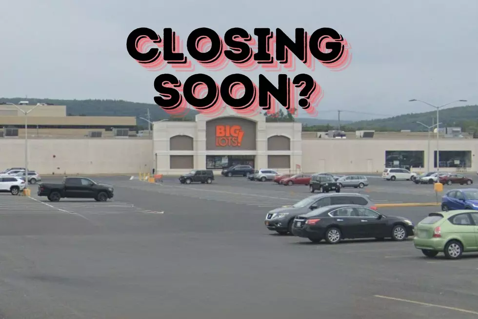 Big Lots Kingston, New York
