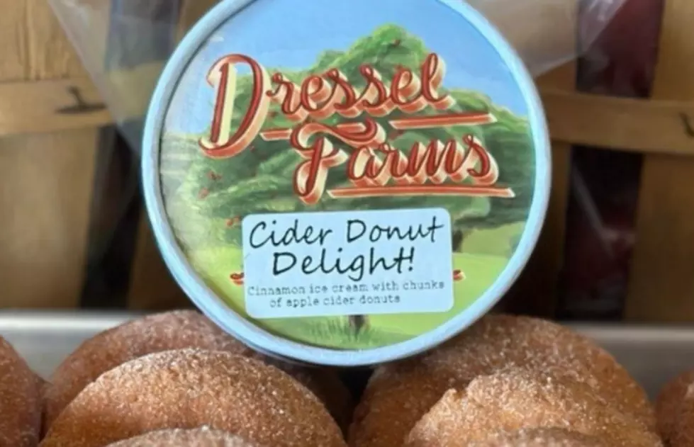 Dressel Farms Ice Cream