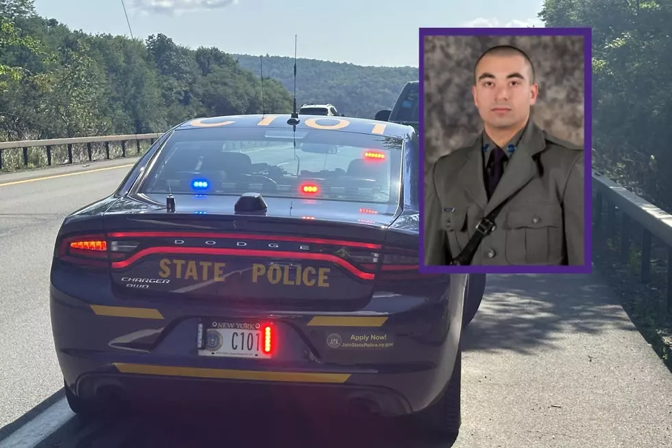 New York State Trooper Struck By Pickup Truck is a Hudson Valley Native