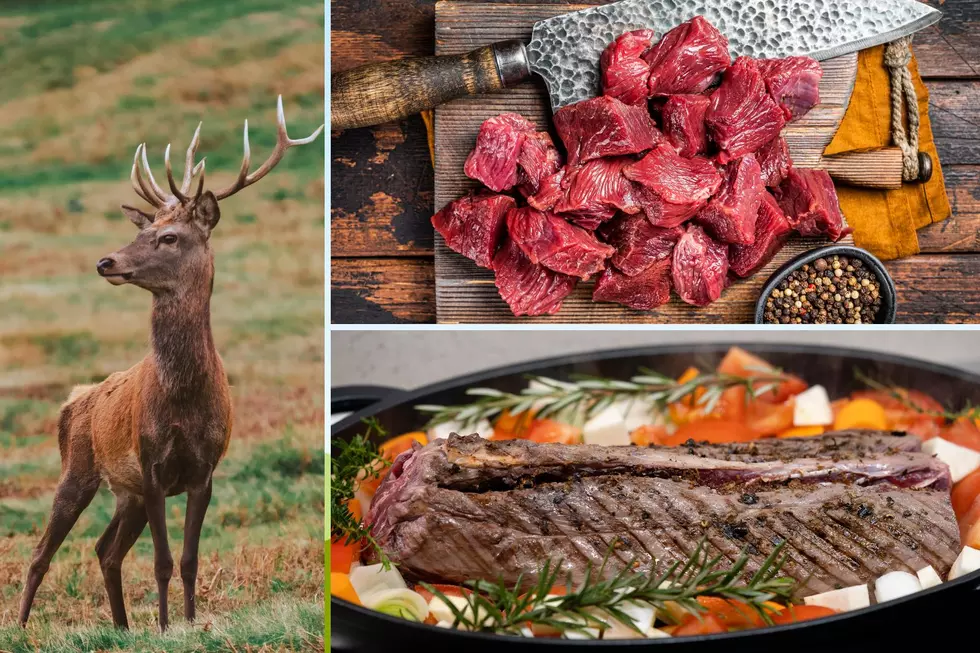 Hunters Can Donate A Deer to Help Feed New York