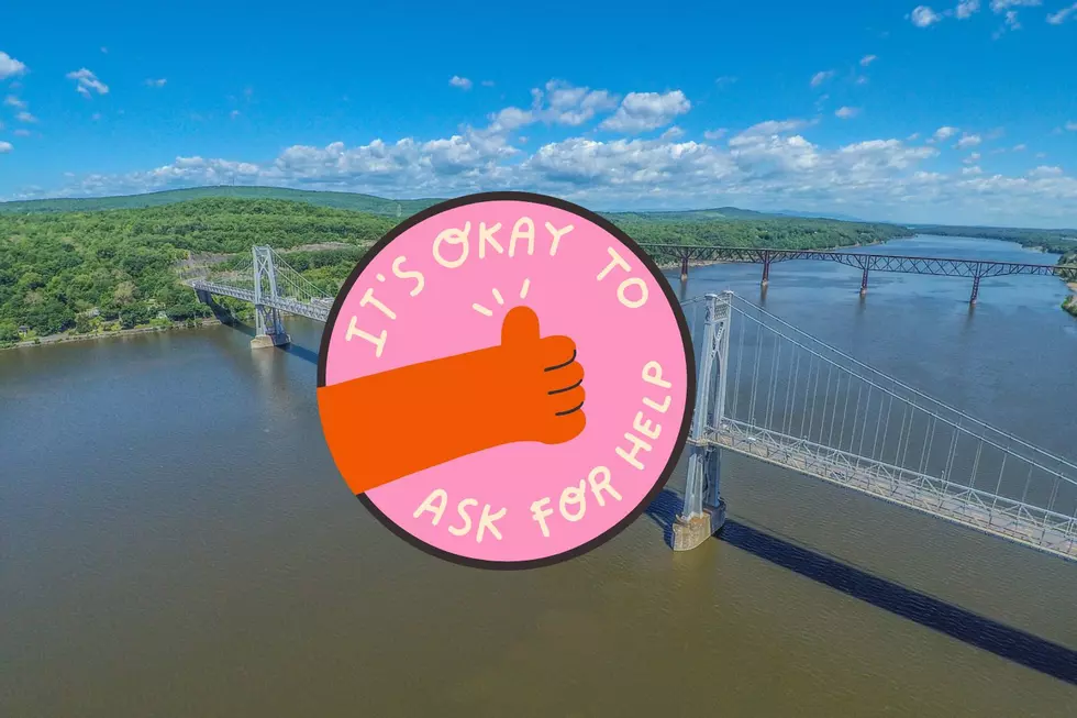 Mid Hudson Bridge Suicide Prevention