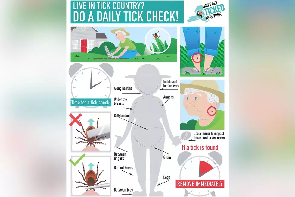 Daily Check for Ticks