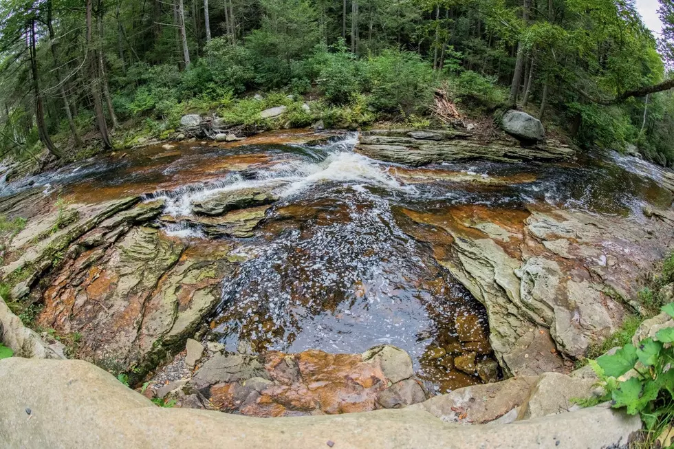 Golden Park Program Gives New York Seniors Special Access to Beautiful State Parks