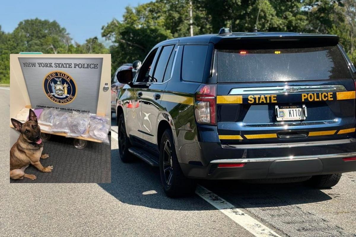 Massive Amount of Illegal Drugs Confiscated in Upstate New York