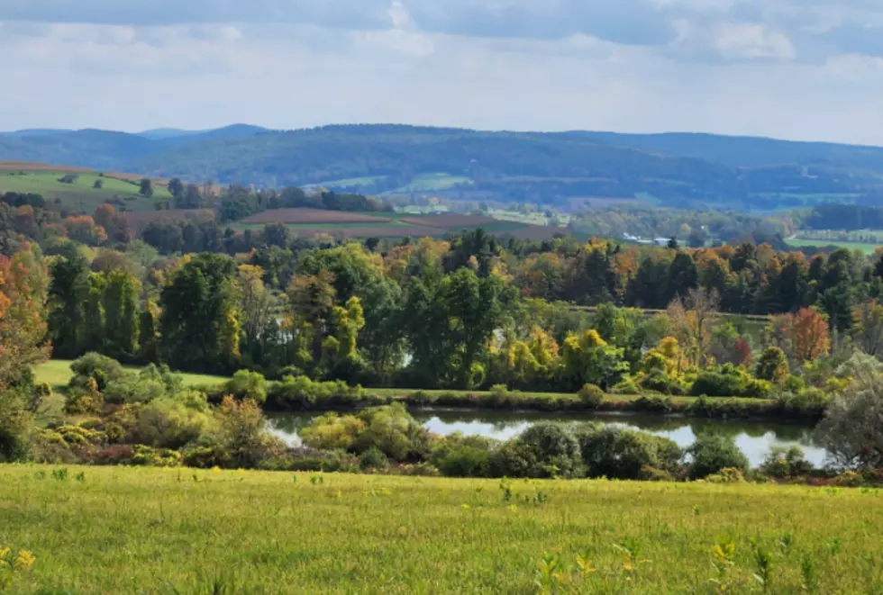 Wethersfield Estate & Garden