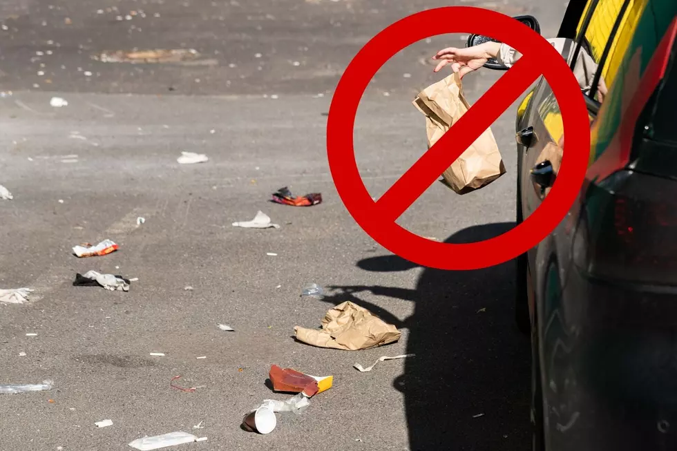 Trash Out of Car