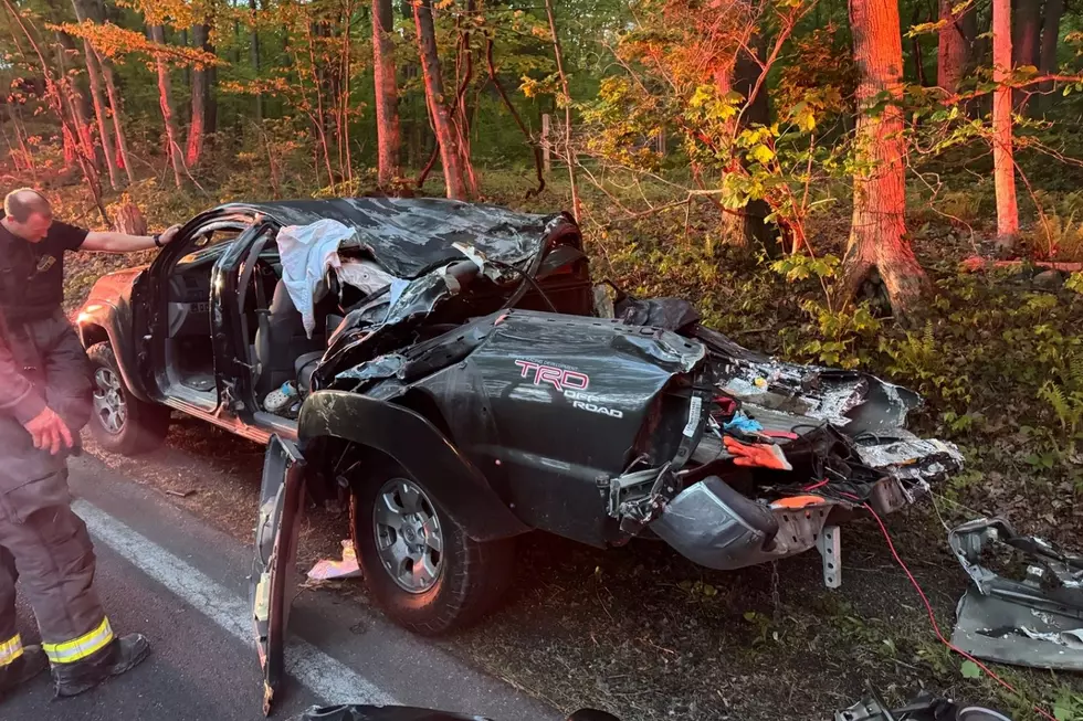 Tree Falls Onto Pickup Truck in Rhinebeck, NY