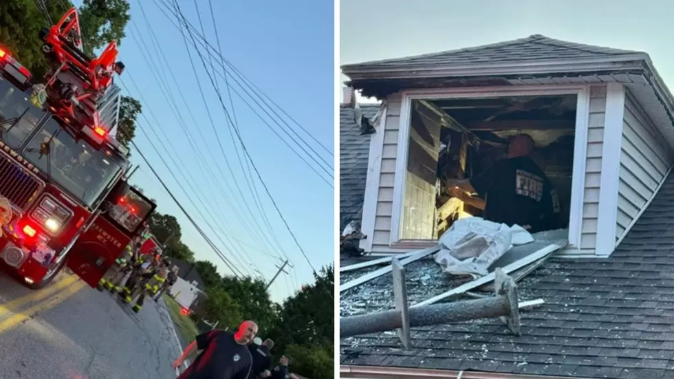 Heroic Rescue Saves Every Dog After Fire at Brewster Shelter