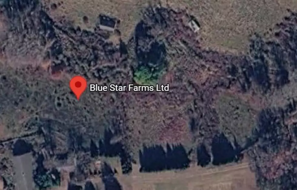 via Google Maps