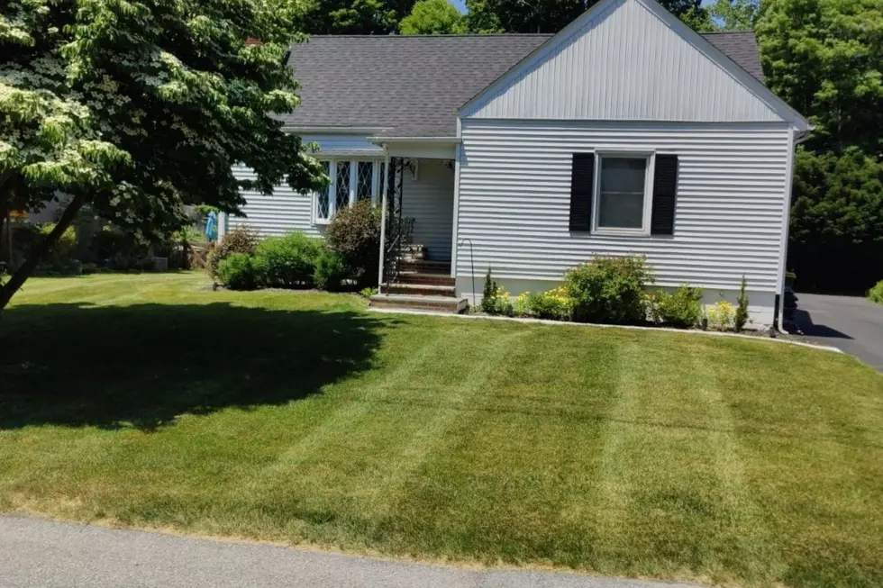 New Lawn Law Takes Effect in Upstate New York