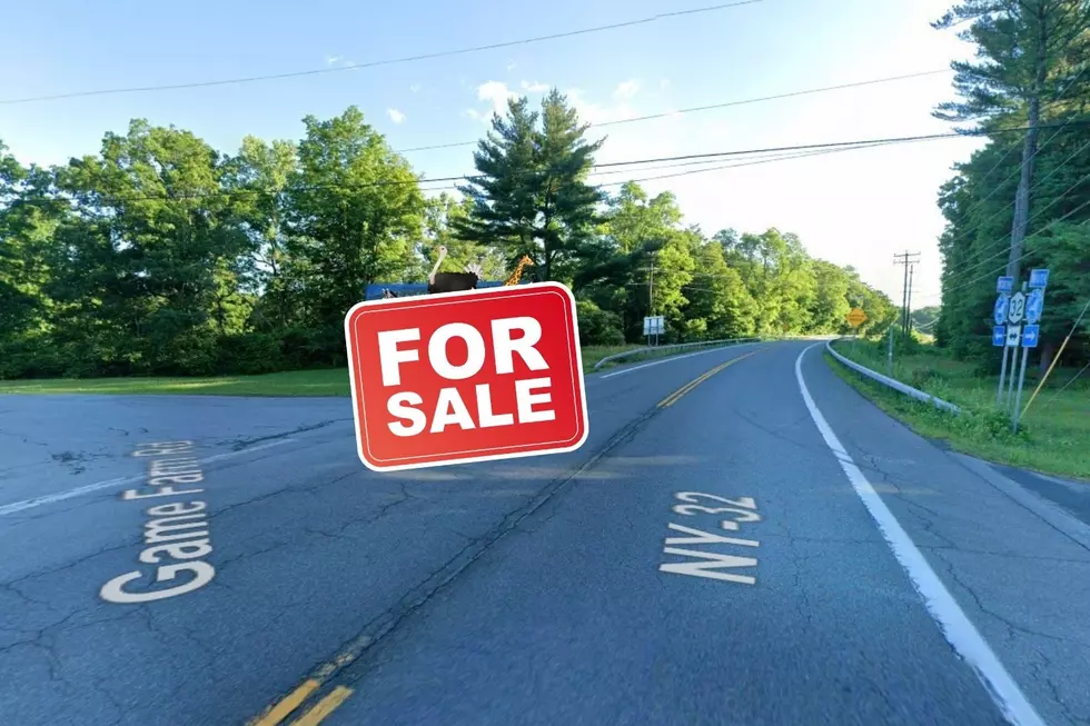 One of Upstate New York's Most Beloved Attractions is For Sale