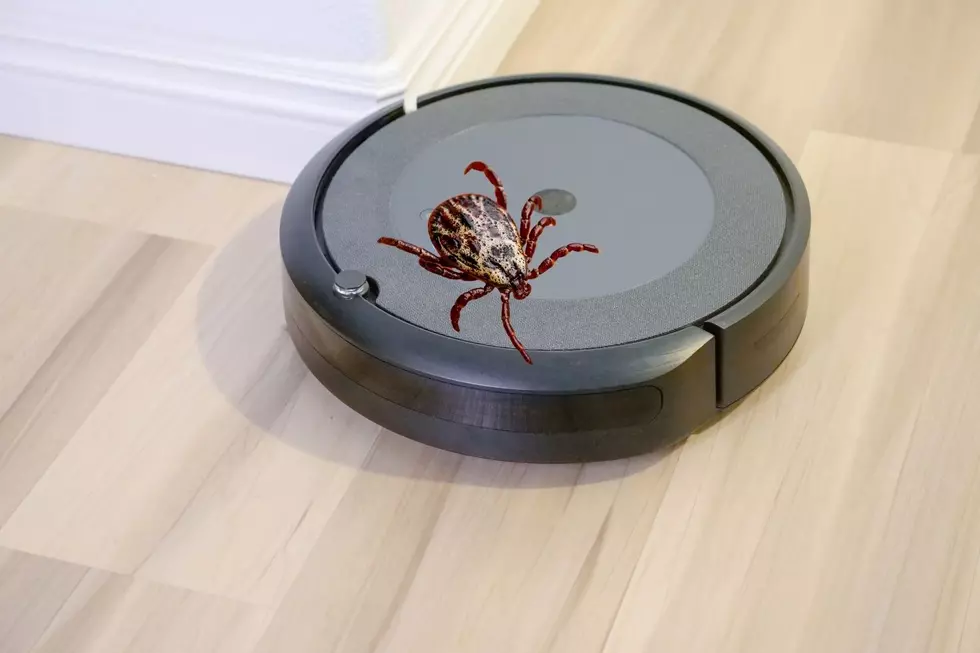 New “Roomba for Ticks” Could Help Get Rid of Ticks in Backyards