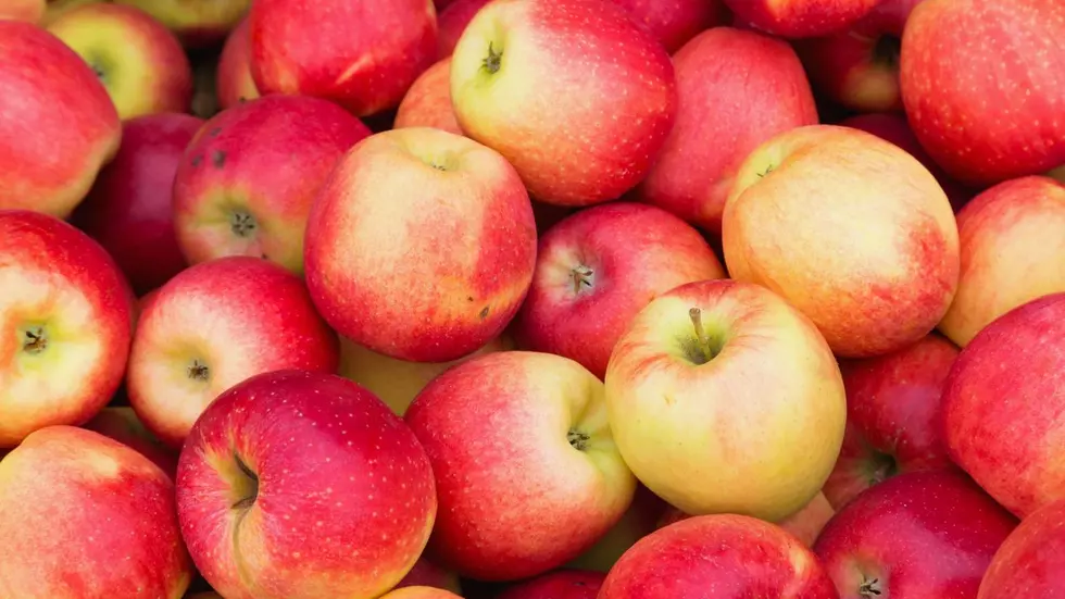 3 New York Apple Orchards Are Competing for Best in the U.S.