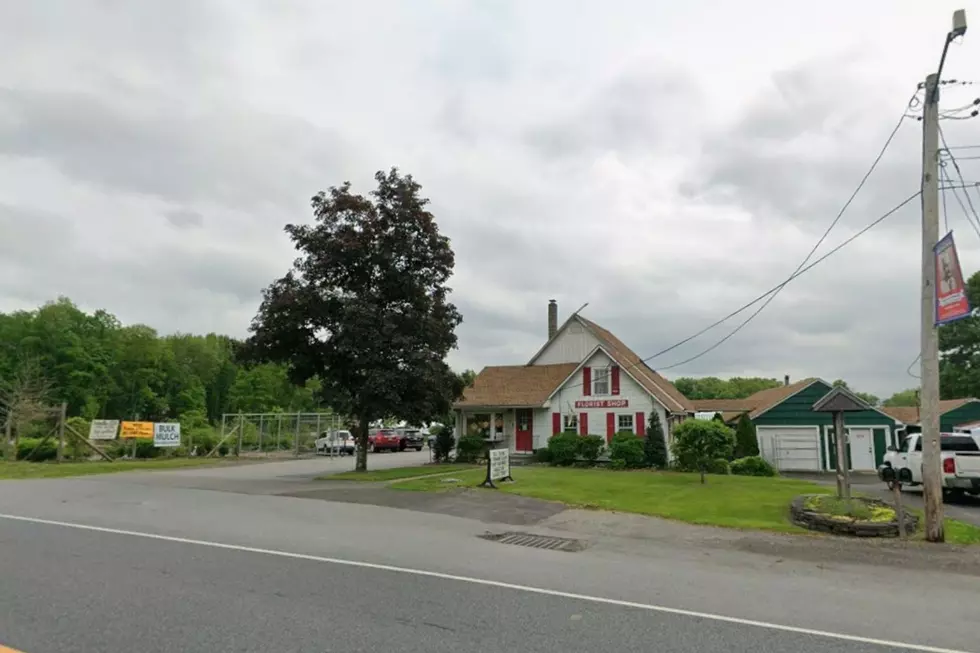 Sabellico Greenhouses & Florist Closing Hopewell Junction, NY