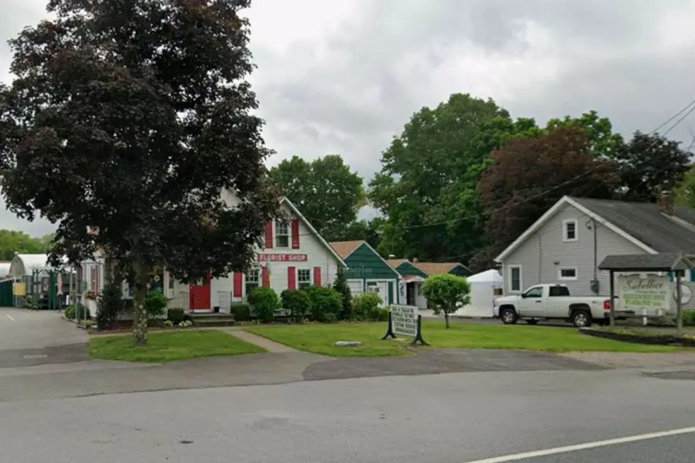 Sabellico Greenhouses & Florist Closing Hopewell Junction, NY