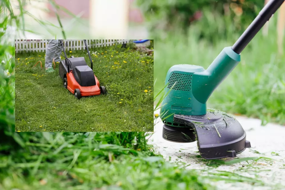 New York Offering Rebates on Battery Lawn Equipment