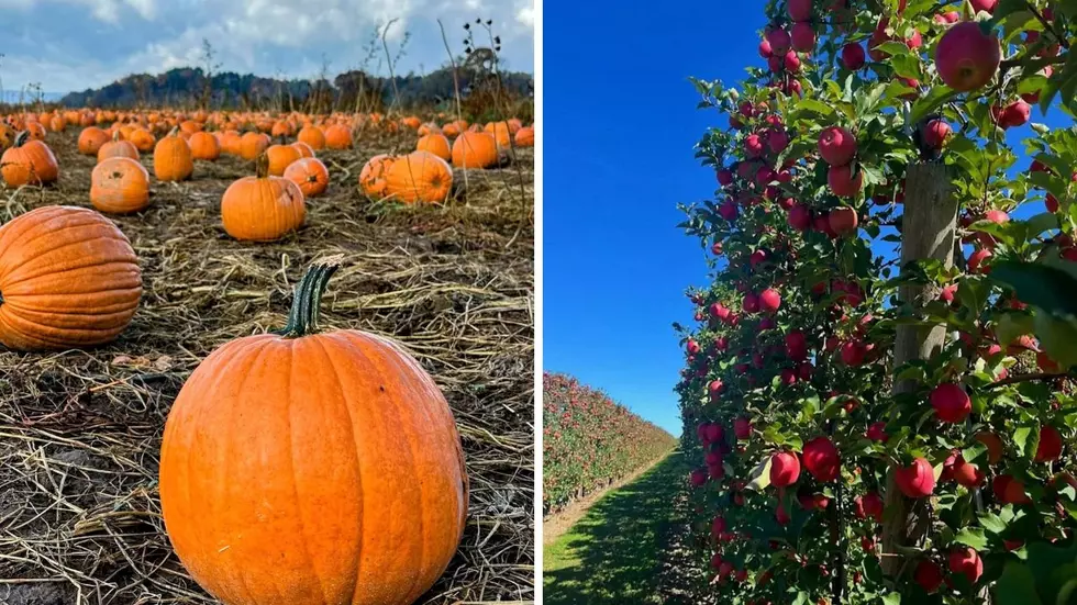 Two Hudson Valley Farms Just Earned Spots Among the Best in America