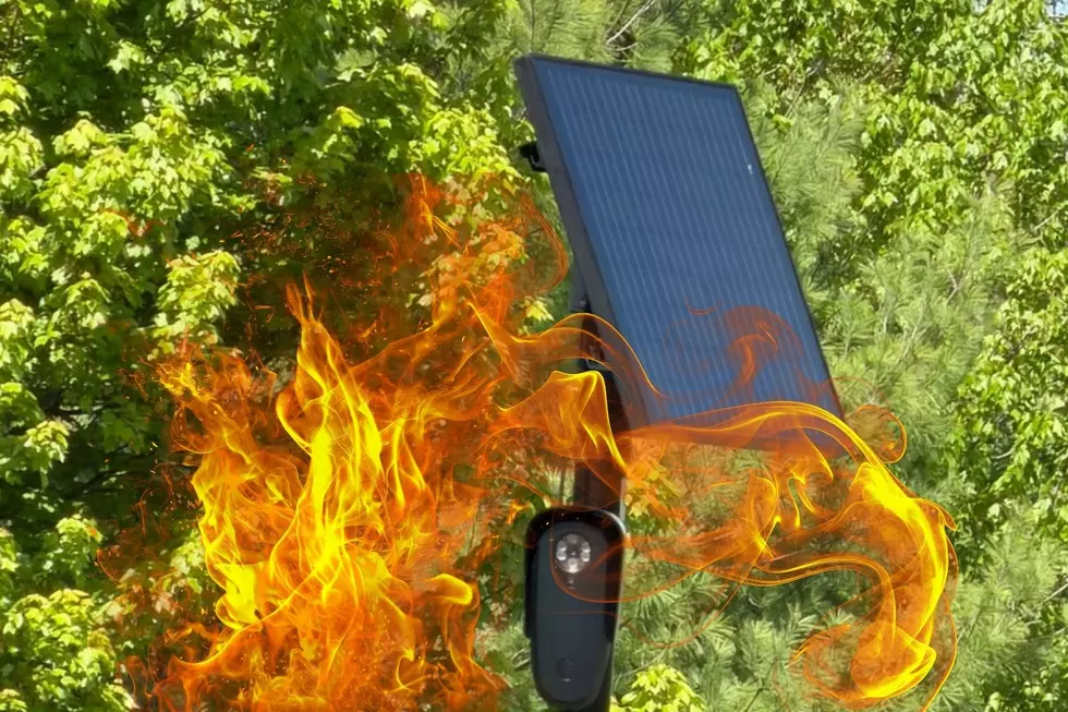 Rhinebeck Man Accused of Setting Flock Camera on Fire