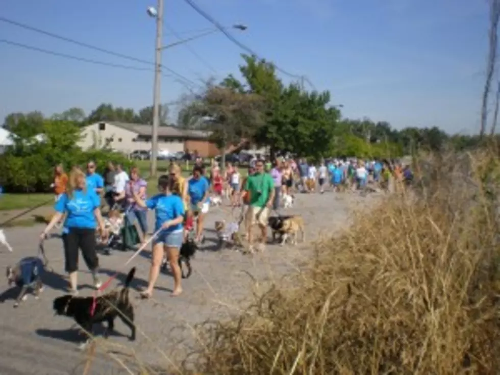 Fido Walk Happens September 17th, Tickets To Win $500 On Sale Now