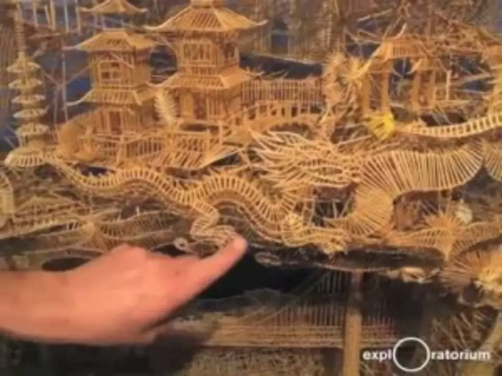 Toothpick Replica Of San Francisco Took 35 Years [Video]