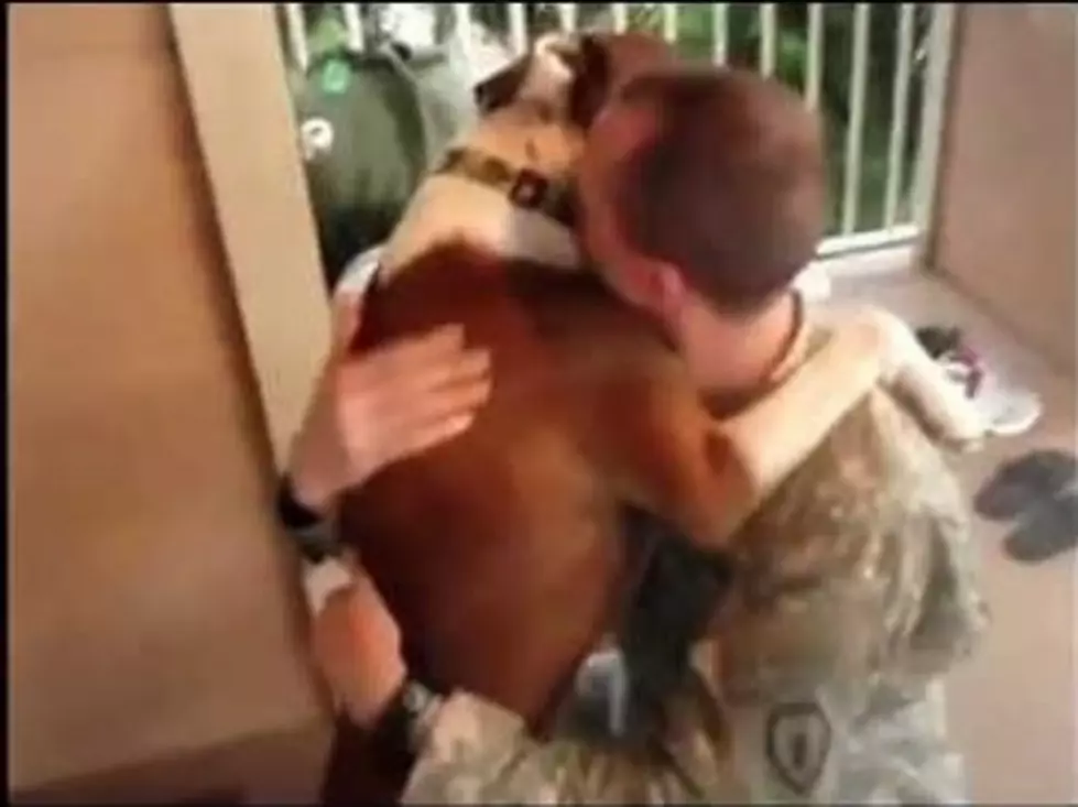 Video Montage Of Dogs Welcoming Home Their Military Owners [Video]