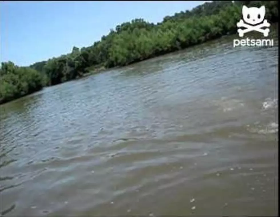 Hilarious Fishing Video With Fisherman Winding Up In the Water [Video]