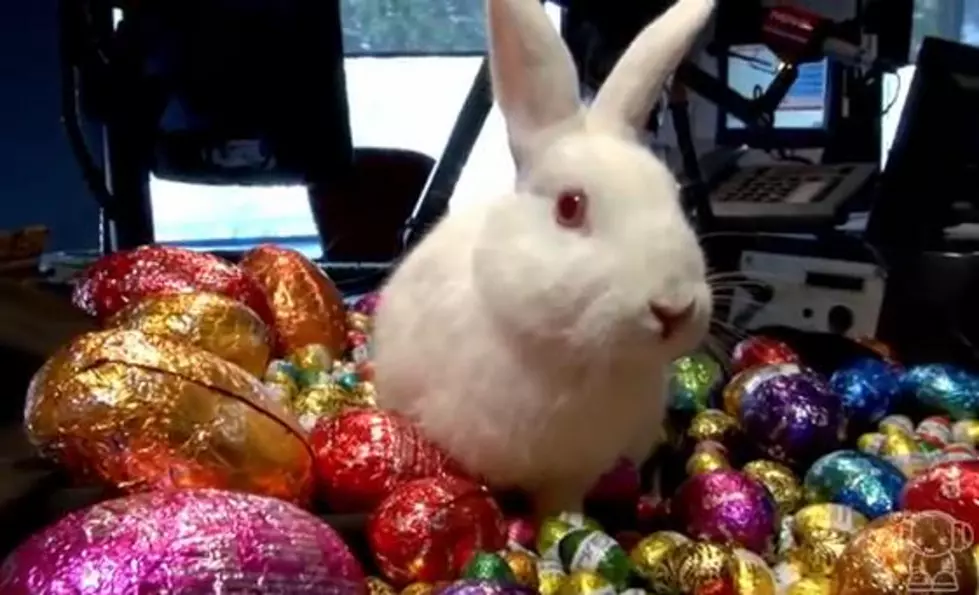 The Easter Bunny Has Been Spotted in the Tri-State