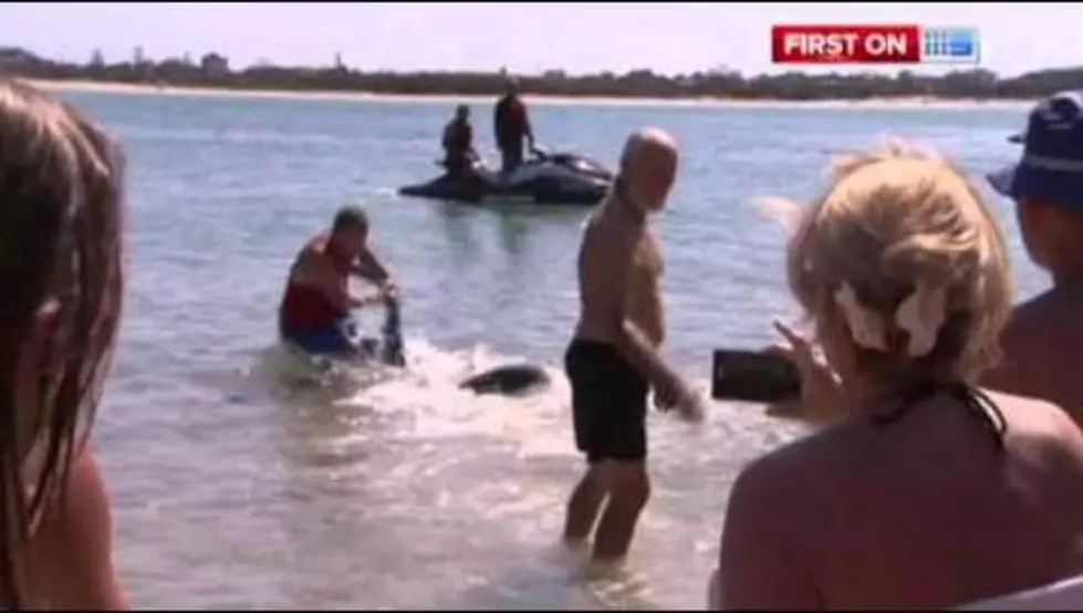 British Grandfather Gets Fired After Rescuing Kids From a Shark