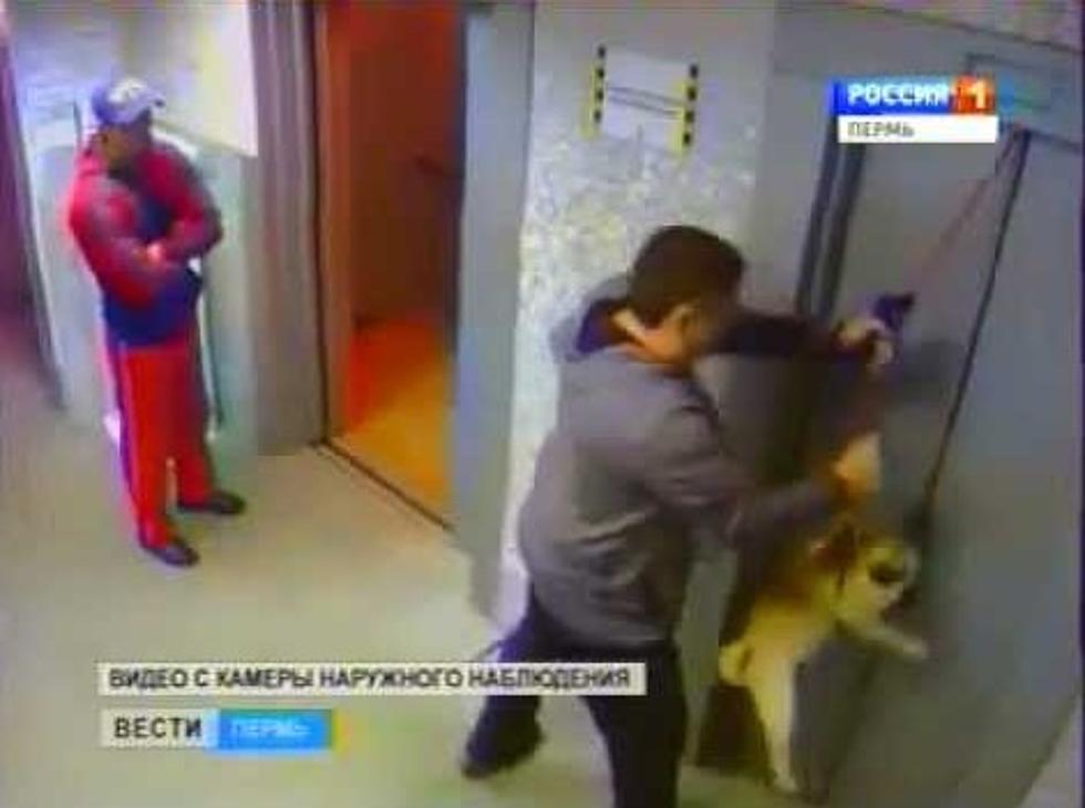 Russian Man Rescues a Dog From Certain Death After Leash Gets Caught In Elevator