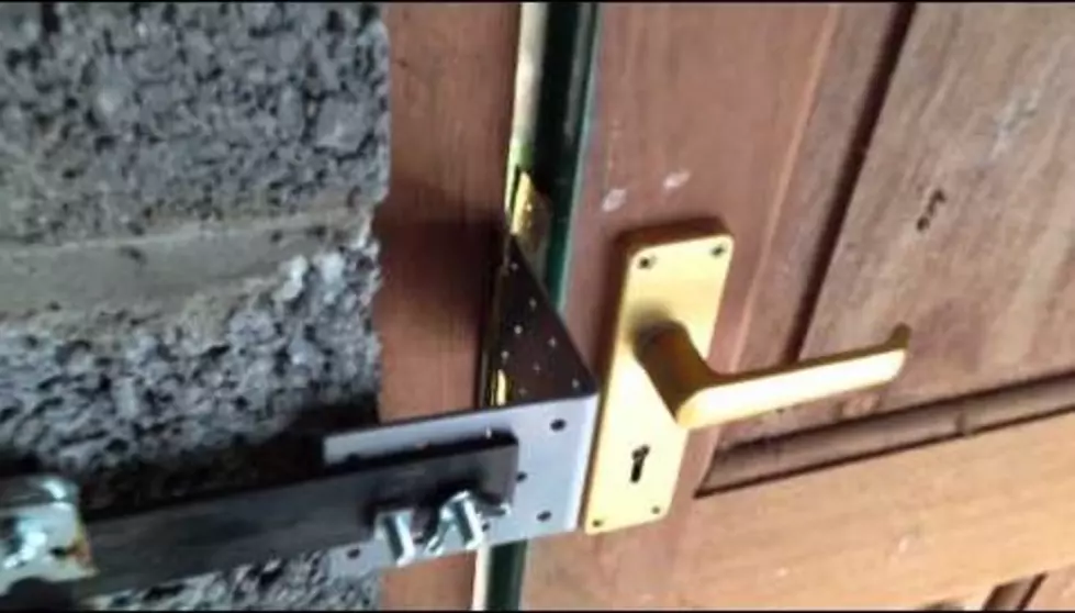 Guy Invents a Device That Will Open the Door with a Dog’s Bark