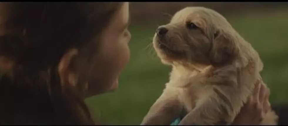 Watch the Relationship Between a Young Woman and Her Dog Maddie &#8211; You Would Never Know It&#8217;s a Commercial