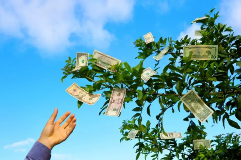The WKDQ Money Tree Is Blooming &#8211; Win Cash On WKDQ