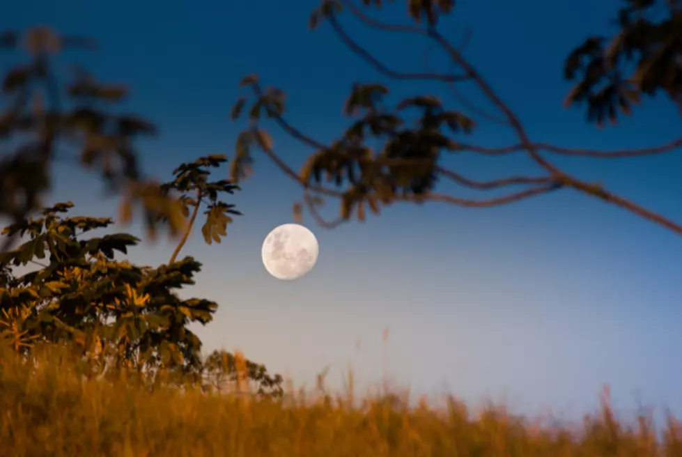September 8th the Final Supermoon is Rising