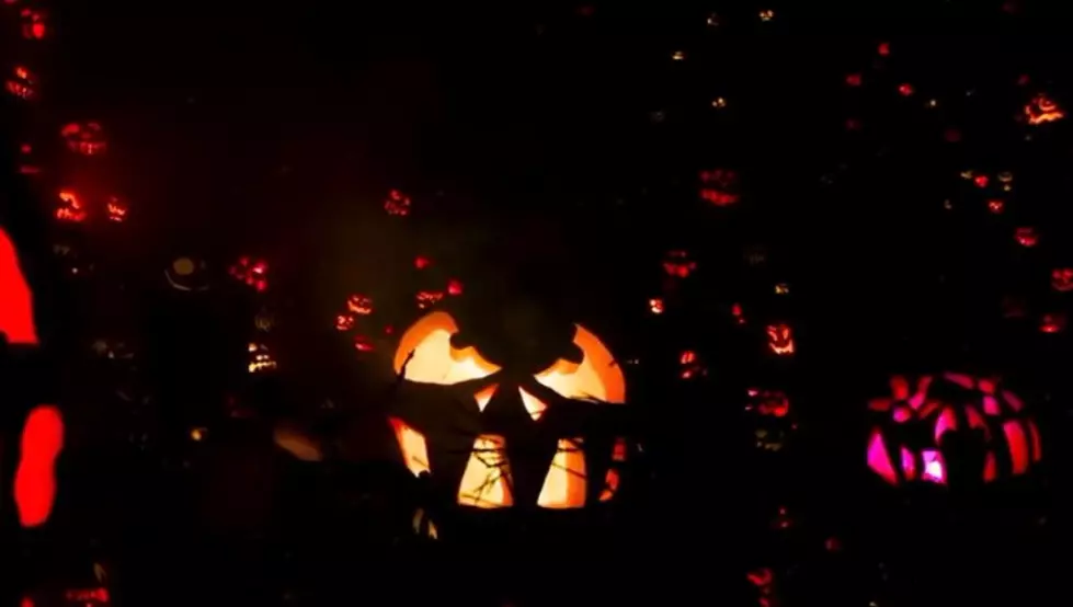 2021 Louisville Jack-O-Lantern Spectacular Theme & On Sale Dates