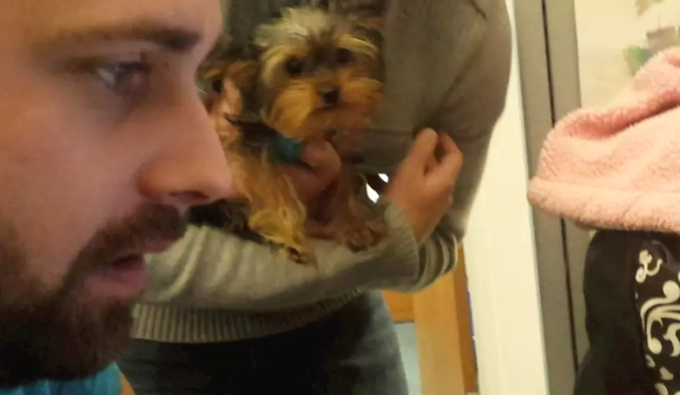 Leslie&#8217;s Puppy Gets an Instagram Page [WATCH]