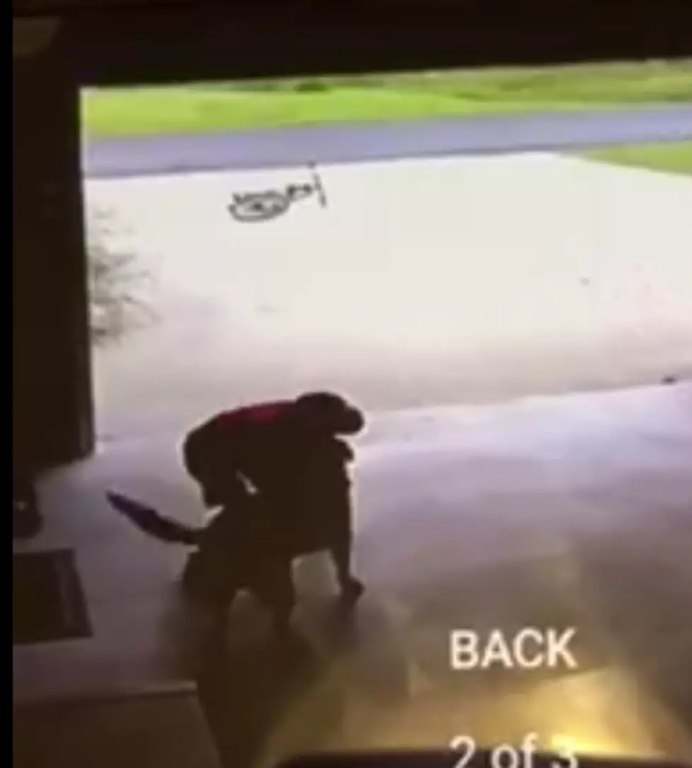 Little Boy Sneaks Into Neighbors Garage and His Reason Makes Everyone Smile [VIDEO]