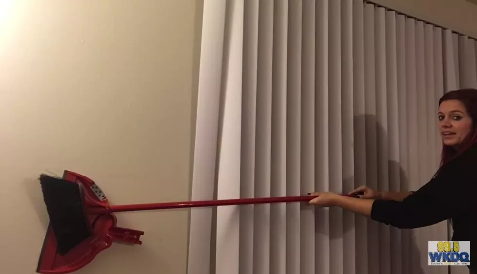 Melissa Takes on HUGE Spider! [VIDEO]