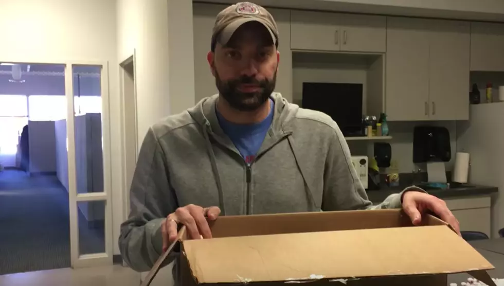 Who is Smarter, Dave or a Box of Peanuts? [WATCH]