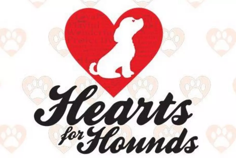 Hearts for Hounds Fundraiser