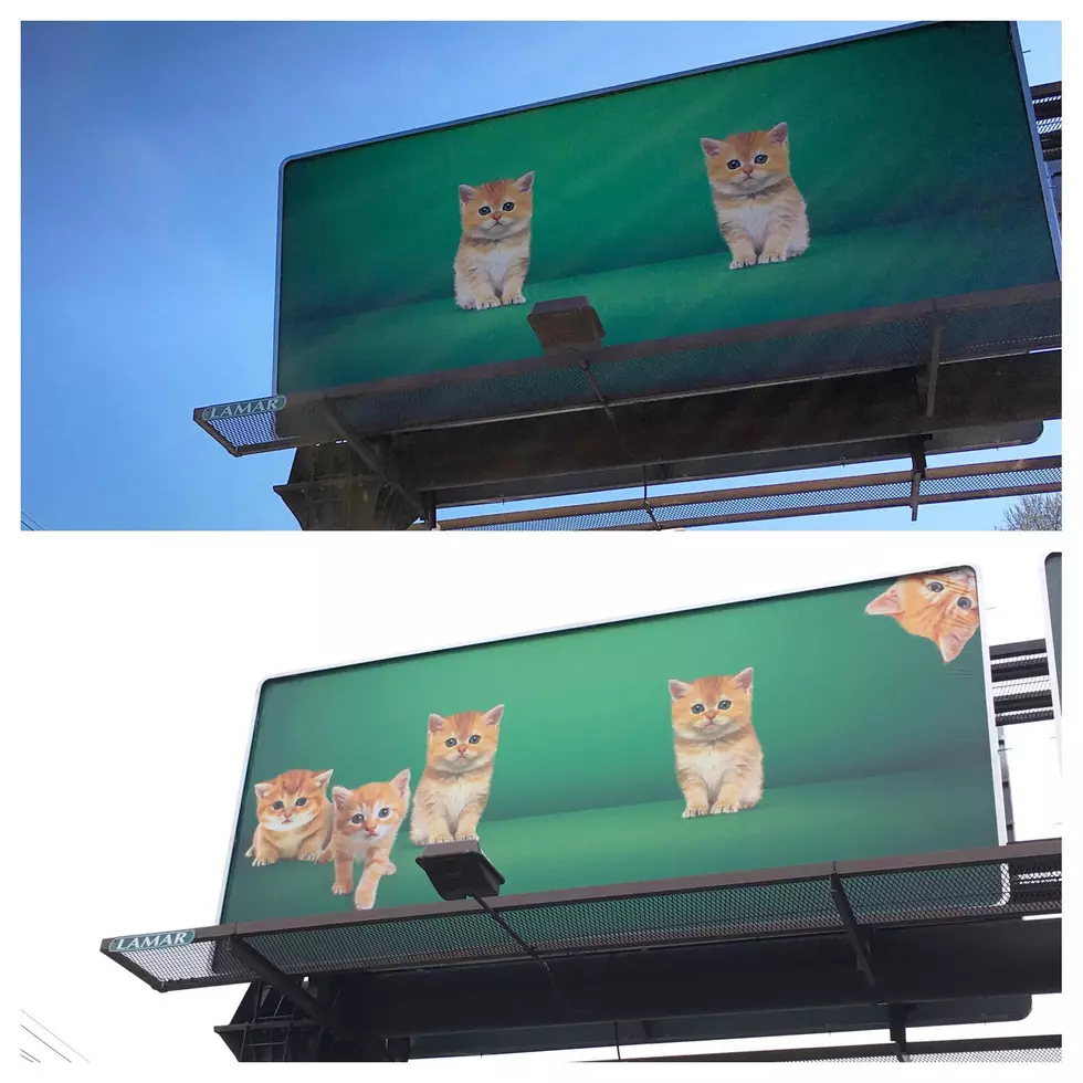 Have You Noticed This Billboard on First Avenue Keeps Multiplying??