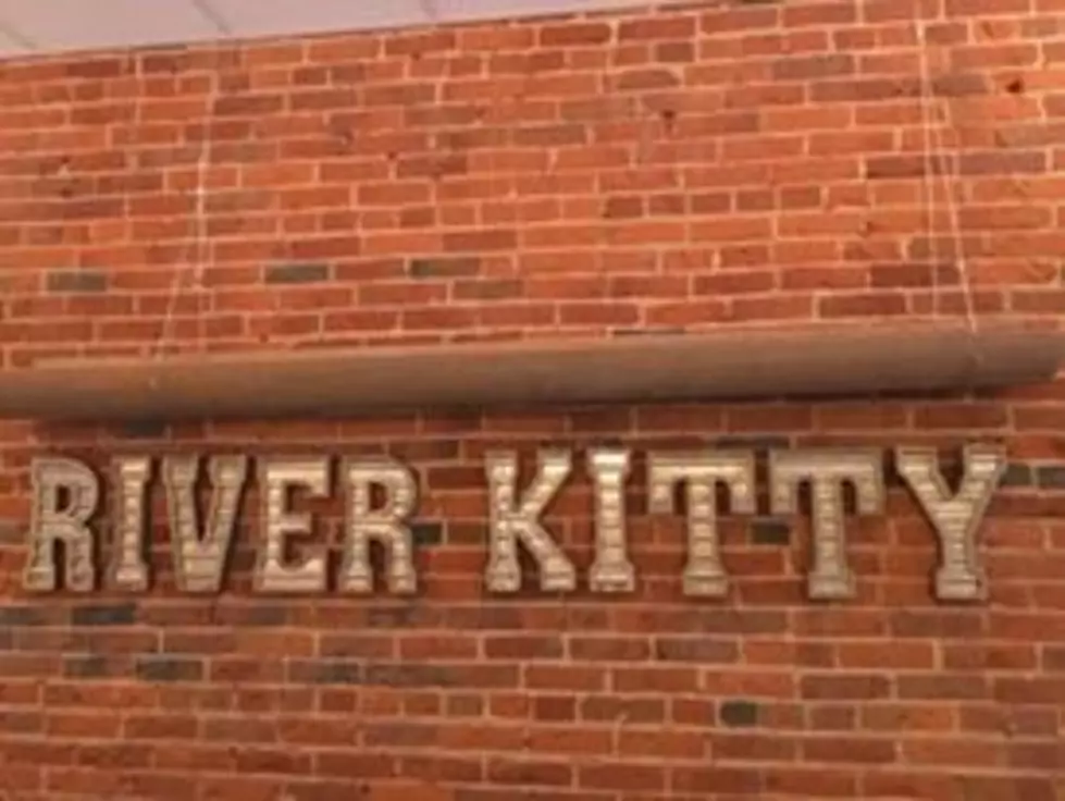 River Kitty Cat Cafe Set to Open on Friday!